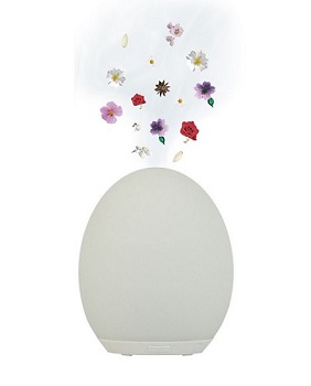 diffuser